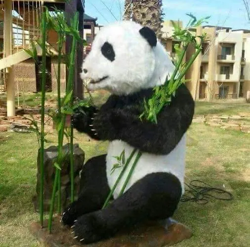 في بلو باي أسيا العين السخنة
